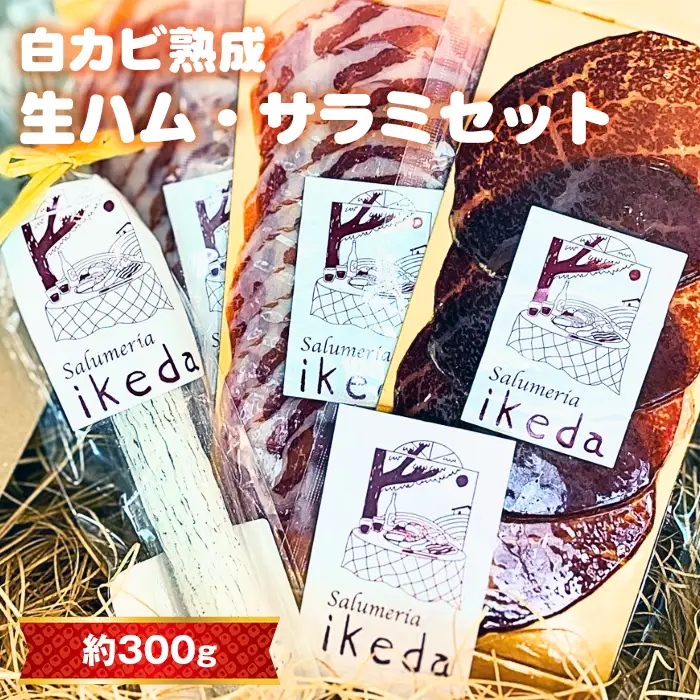 No.442 白カビ熟成　生ハム・サラミセット　約300g