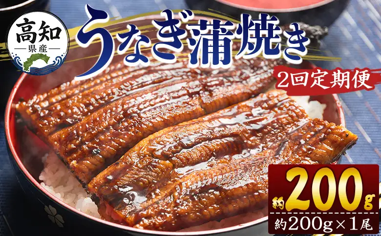 うなぎ蒲焼 大サイズ1尾 定期便 2回 うなぎ Wfb-0045