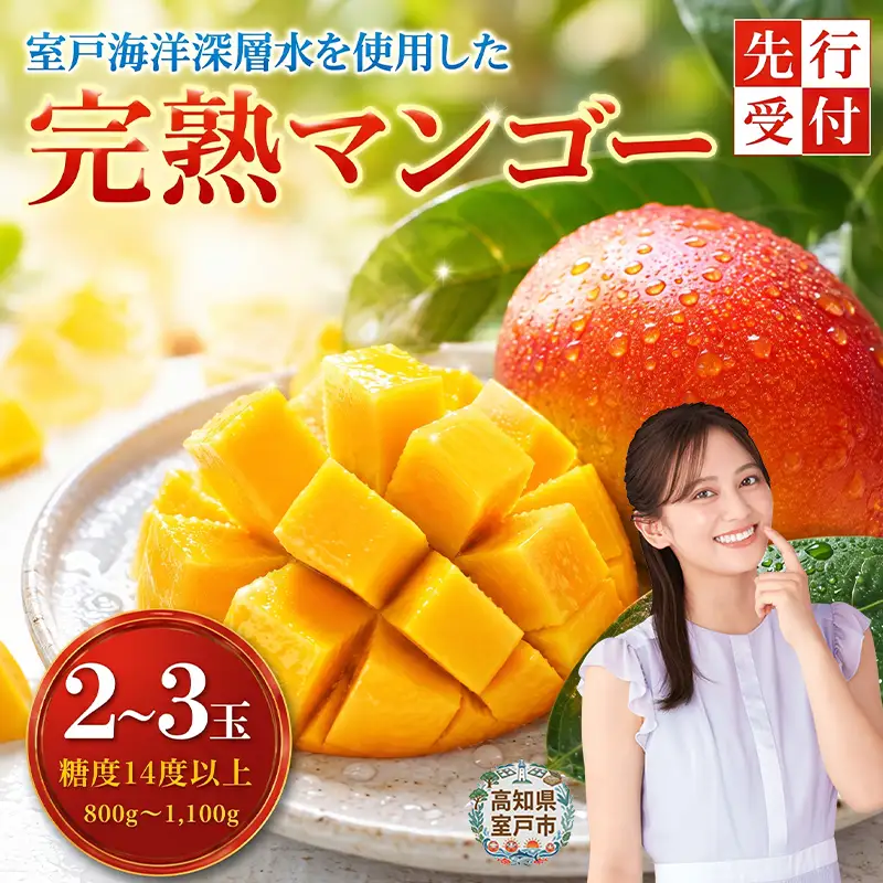 高知県安芸市産 完熟マンゴー「アーウィンアップルマンゴー」（岡宗農園）