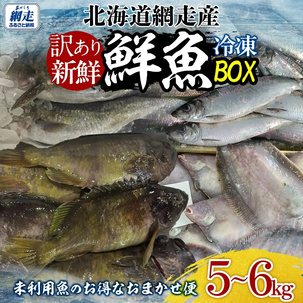 【先行予約】【訳あり】網走産冷凍鮮魚BOX～未利用魚の有効活用（漁業生産者応援企画）～【令和8年4月より順次発送】 ABAE011