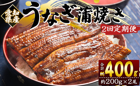 【国産】定期便 うなぎ 蒲焼き 約200g 2尾 2回 【 うなぎ 定期便 国産 うなぎ 定期便 かばやき うなぎ 定期便 惣菜 うなぎ 定期便 】 Wfb-0073