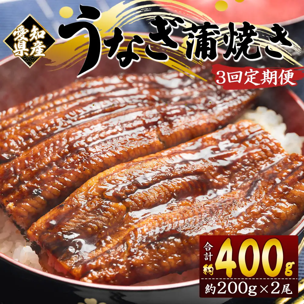 【定期便】うなぎ蒲焼き | うなぎ 定期便 国産 魚介 Wfb-0074