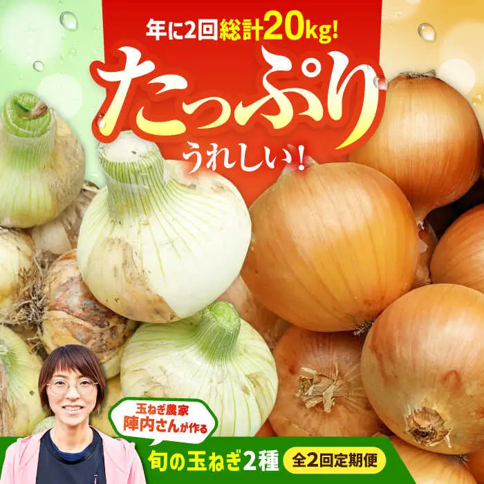 【先行予約 2027年3月～発送】【2回定期便】玉ねぎ定期便 10kg/回 / 玉ねぎ [IAO027]