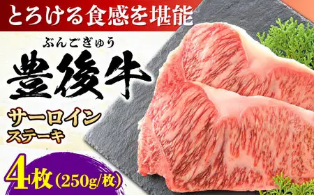 豊後牛 サーロイン ステーキ 250g×4 [AREI008] さーろいん ステーキ 牛肉