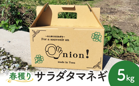 玉ねぎ 春穫り サラダタマネギ 5kg 野菜 タマネギ 発送時期：2027年4月初旬から