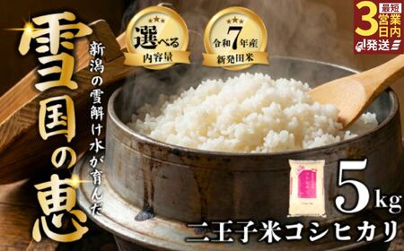 令和7年産 新潟県産 コシヒカリ 5kg 数量限定 特別栽培米 二王子米 新潟産 新潟米 新発田産 新発田 お米 米 kome 白米 ご飯 こめ ごはん ライス ふるさと納税米 コシヒカリ お弁当 食品 せいだ とんとん市場 ブランド米 人気米 玄米 新潟県 新発田市 seida002_02