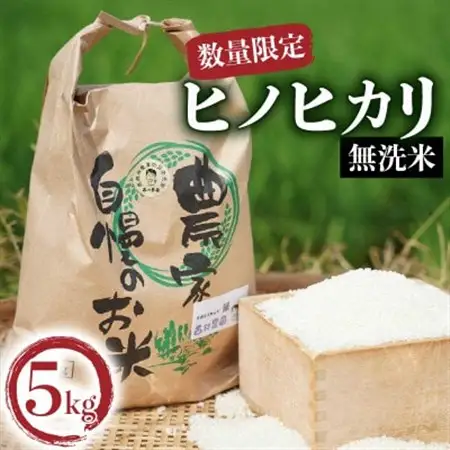 ヒノヒカリ無洗米5kg_ 無洗米 米 こめ コメ_【1576332】