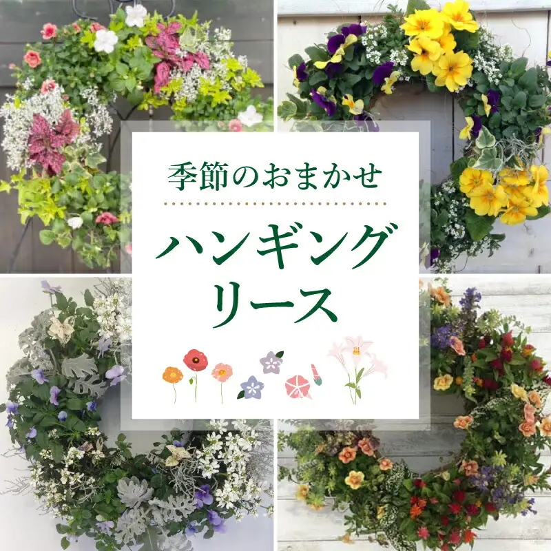 花 リース 寄植え 花苗 植物 花