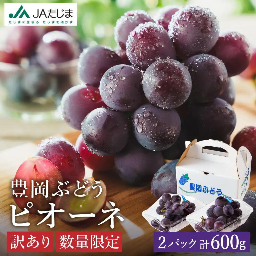 【2026年先行予約】数量限定 訳あり 豊岡ぶどう「ピオーネ」 約300g×2パック ／ ぴおーね ブドウ 葡萄 訳ありぶどう 大粒 強い甘み 爽やかな酸味 新鮮 果物 産地直送 くだもの フルーツ 上品 香り
