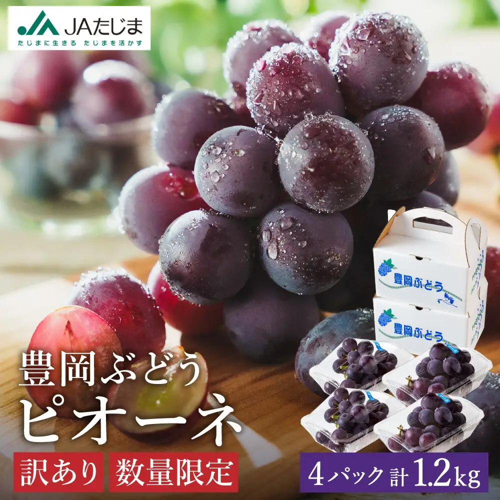 【2026年先行予約】数量限定 訳あり 豊岡ぶどう「ピオーネ」 約300g×4パック ／ ぴおーね ブドウ 葡萄 訳ありぶどう 大粒 強い甘み 爽やかな酸味 新鮮 果物 産地直送 くだもの フルーツ 上品 香り