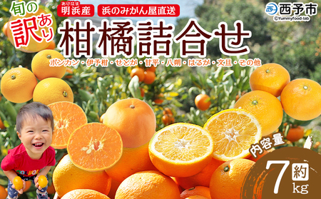 ＜旬の訳あり柑橘詰め合わせ 約7kg＞ みかん ミカン 家庭用 果物 フルーツ おいしい 甘い オレンジ 柑橘類 ご自宅用 おまかせ 特産品 あけはま 明浜産 浜のみかん屋 愛媛県 西予市【常温】『2025年2月上旬～3月下旬迄に順次出荷予定』AHM0025