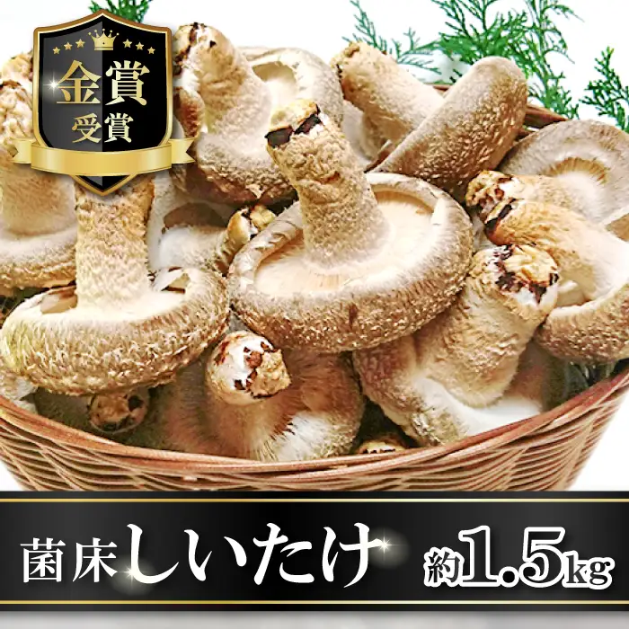 菌床しいたけ　かご入り