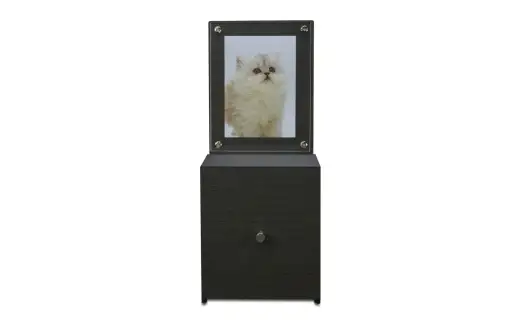 Bosk バスク ペットメモリアル ブラック タツクラフト 【Tk154】【ttcf032】