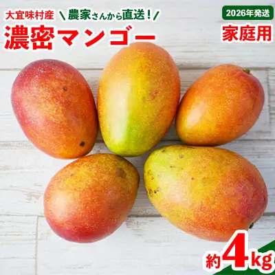 マンゴー【2026年発送】ご家庭用！濃密マンゴー《家庭用・約4kg》