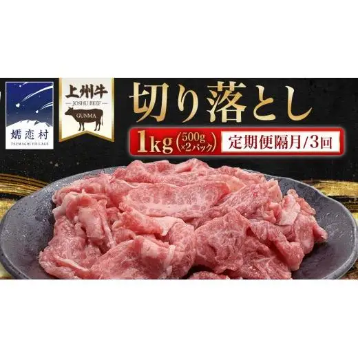 【 定期便 隔月 3回 】上州牛 切り落とし 1kg ( 500g × 2パック ) [AH029tu]