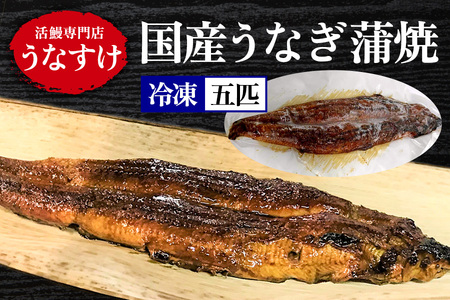 [冷凍] 国産うなぎ蒲焼 (5匹) [0924]