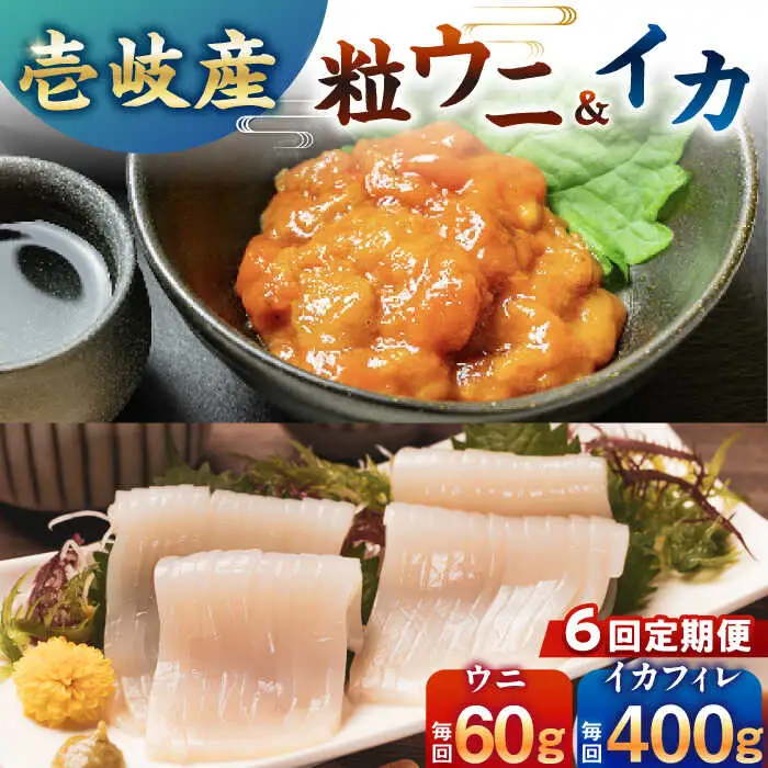 【隔月全6回定期便】剣先イカ  粒うに セット [JCC018] 