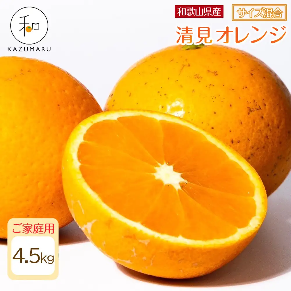 家庭用 森本農園の手選別 清見オレンジ 4.5kg 和歌山県産 サイズ混合 ［北海道・沖縄・離島配送不可］［2027年2月上旬から順次発送予定］［RN22］