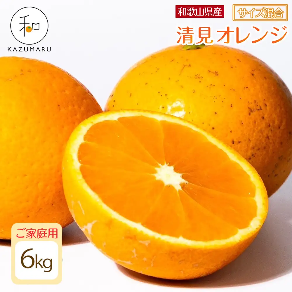 家庭用 森本農園の手選別 清見オレンジ 6kg 和歌山県産 サイズ混合 ［北海道・沖縄・離島配送不可］［2027年2月上旬から順次発送予定］［RN38］