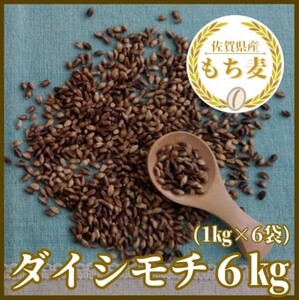 CIB99_佐賀県産『もち麦』６kg(１kg×６袋)【ダイシモチ】