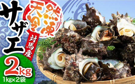 対馬産 天然冷凍サザエ 2kg さざえ サザエ 刺し身 海鮮 貝 [WAA038]