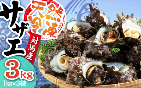 対馬産 天然冷凍サザエ 3kg さざえ サザエ 刺し身 海鮮 貝 [WAA039]