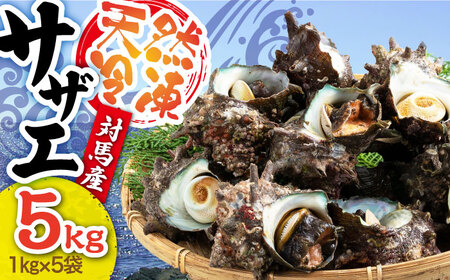対馬産 天然冷凍サザエ 5kg さざえ サザエ 刺し身 海鮮 貝 [WAA040]