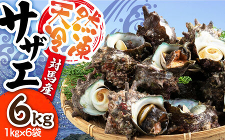 対馬産 天然冷凍サザエ 6kg さざえ サザエ 刺し身 海鮮 貝 [WAA041]