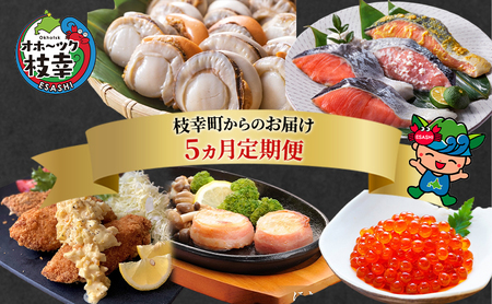 北海道枝幸町からのお届け おかずにどうぞ！ 定期便5【 ホタテ ステーキ いくら 醤油 めじか鮭 切身 ホッケ フライ 北海道 オホーツク 枝幸 】 