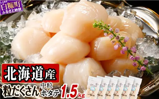 オホーツク産お刺身用ホタテ 1.5kg (250g×6)_K038-0720