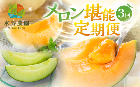 【定期便】《先行予約》 メロン堪能定期便 3回  水野農園