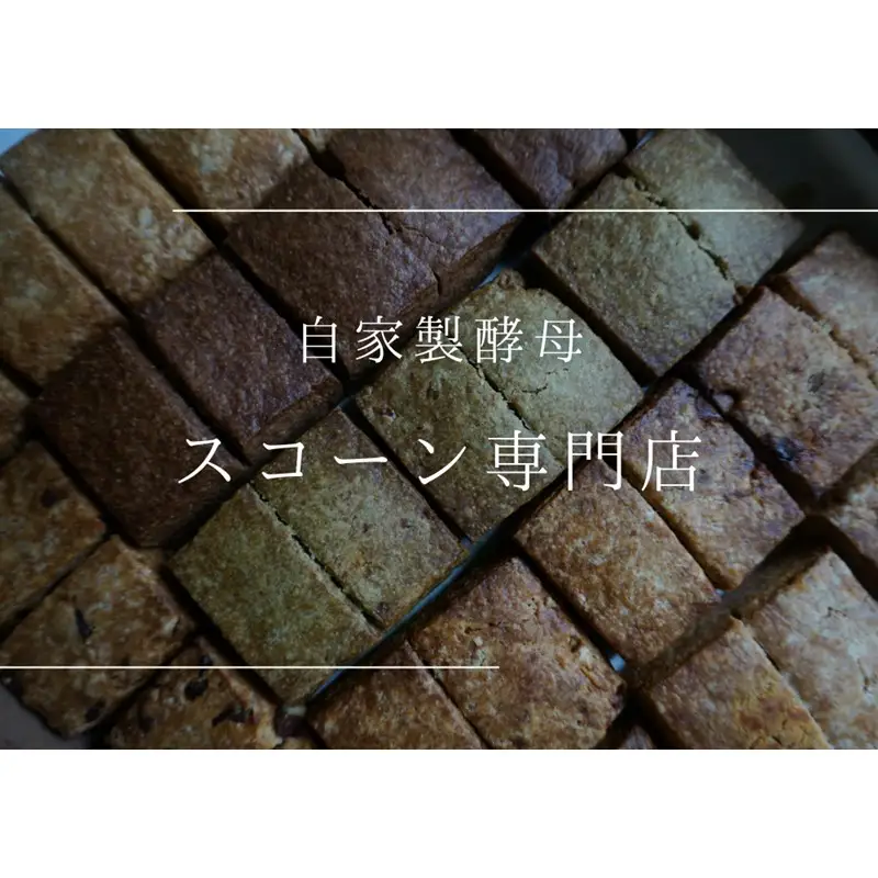 自家製酵母スコーンのお包み【たねのおやつ】_HA1616