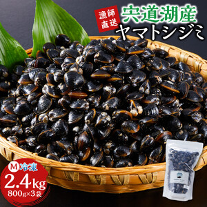 漁師直送！宍道湖産ヤマトシジミ・Mサイズ冷凍2.4kg