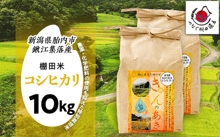 棚田米きんのあき10kg（5kg×2袋） 新潟県胎内市鍬江集落産 コシヒカリ 特別栽培米