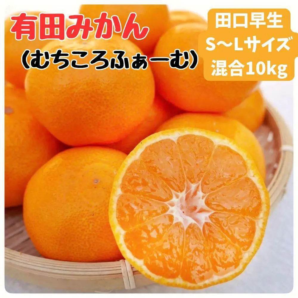 有田みかん 早生S〜Lサイズ混合 約10kg