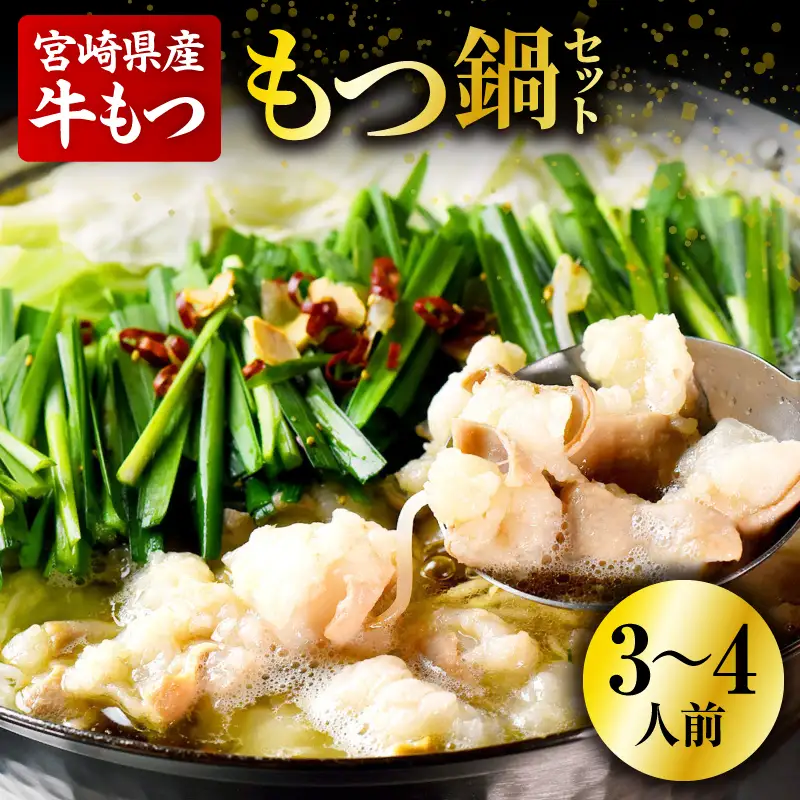 もつ鍋セット（3～4人分）_kn111-001