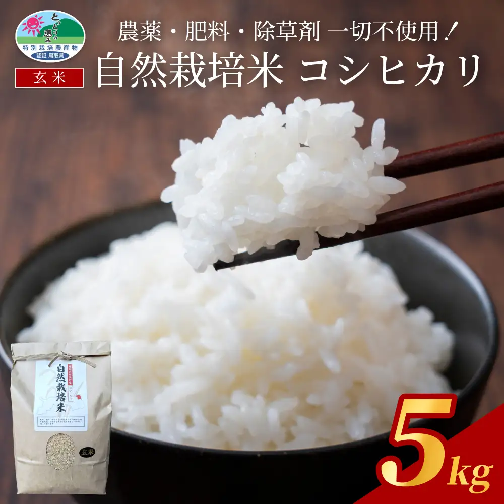 【2026新米先行予約】岩美町産自然栽培米こしひかり（玄米）５kg｜鳥取 岩美 お米 こめ 玄米 無農薬 無肥料 早期予約【31009】