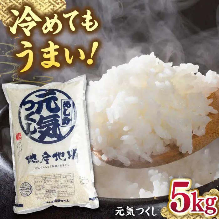 福岡産ブランド 米 元気つくし 5kg 桂川町/南国フルーツ株式会社 [ADBW026] 米 白米 5kg 