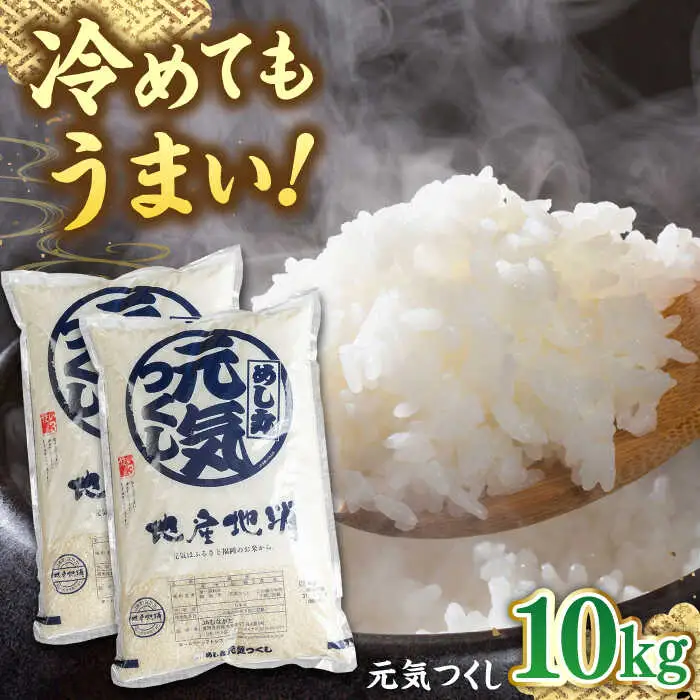 福岡産ブランド米 元気つくし 10kg (5kg×2袋) 桂川町/南国フルーツ株式会社 [ADBW027] 白米10kg 米10kg 精米