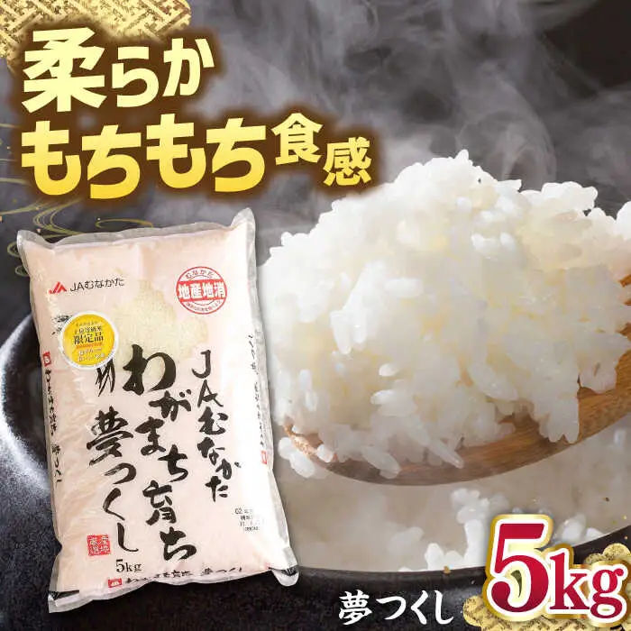 福岡産ブランド 米 夢つくし 5kg 桂川町/南国フルーツ株式会社 [ADBW028] 米 白米 5kg お米 