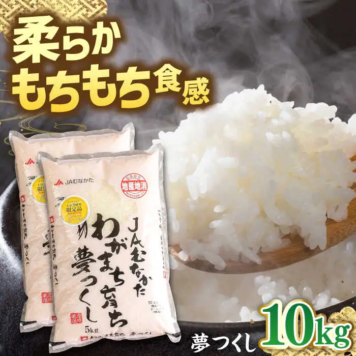 福岡産ブランド 米 夢つくし 10kg (5kg×2袋) 桂川町/南国フルーツ株式会社 [ADBW029] 米 白米 精米 5キロ 10キロ 