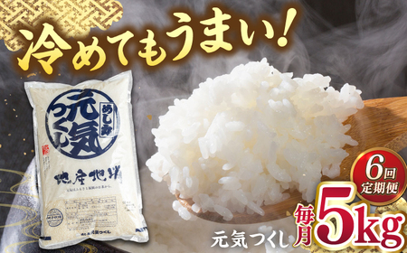 【全6回定期便】福岡産ブランド米・元気つくし5kg 桂川町/南国フルーツ株式会社 [ADBW031] 米 白米 5kg お米 精米 5kg お米 5kg 白米 30kg 定期便