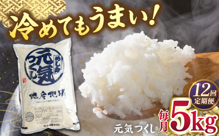【全12回定期便】福岡産ブランド米・元気つくし5kg 桂川町/南国フルーツ株式会社 [ADBW032] 米 白米 5kg お米 精米 5kg お米 5kg 白米 5kg 定期便
