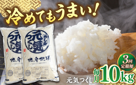 【全3回定期便】福岡産ブランド米・元気つくし5kg×2袋 桂川町/南国フルーツ株式会社 [ADBW033] 白米10kg 米10kg 精米10kg 白米10kg 米10kg 精米10kg
