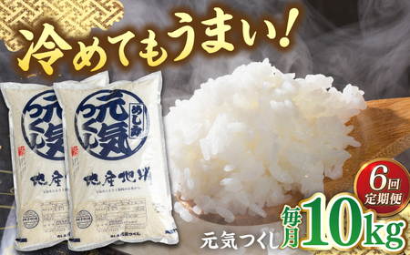 【全6回定期便】福岡産ブランド米・元気つくし5kg×2袋 桂川町/南国フルーツ株式会社 [ADBW034] 白米10kg 米10kg 精米10kg 白米10kg 米10kg 精米10kg