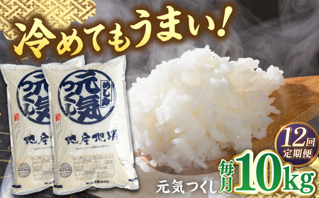 【全12回定期便】福岡産ブランド米・元気つくし5kg×2袋 桂川町/南国フルーツ株式会社 [ADBW035] 白米10kg 米10kg 精米10kg 白米10kg 米10kg 精米10kg
