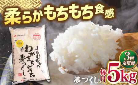 【全3回定期便】福岡産ブランド米・夢つくし5kg 桂川町/南国フルーツ株式会社 [ADBW036] 