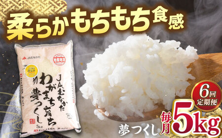 【全6回定期便】福岡産ブランド米・夢つくし5kg 桂川町/南国フルーツ株式会社 [ADBW037] 
