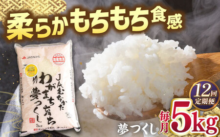 【全12回定期便】福岡産ブランド米・夢つくし5kg 桂川町/南国フルーツ株式会社 [ADBW038] 