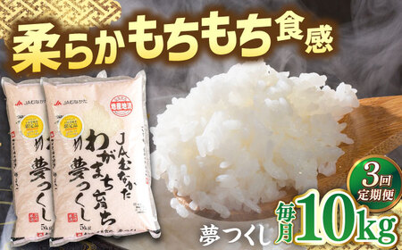 【全3回定期便】福岡産ブランド米・夢つくし5kg×2袋 桂川町/南国フルーツ株式会社 [ADBW039] 
